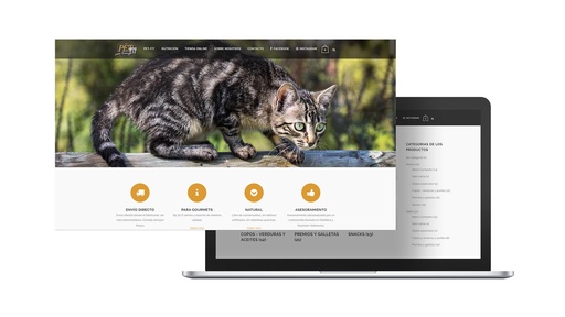 Tienda online en WordPress y WooCommerce, número 1 en Google en sus términos clave